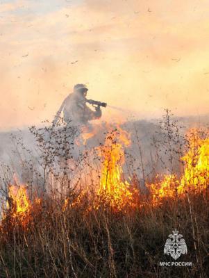 У посёлка Божатково в Рязани выгорело 500 квадратных метров травы